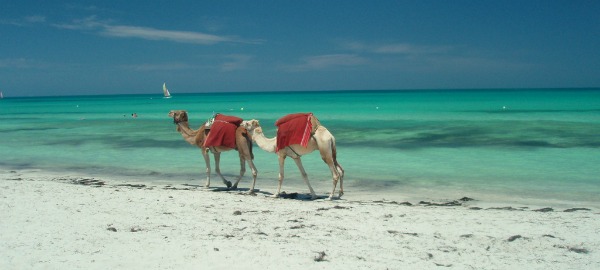 Djerba