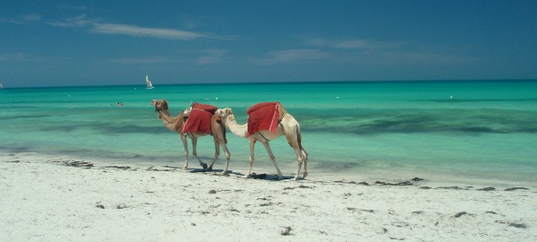 Djerba - Tunisia Djerba - Tunisia